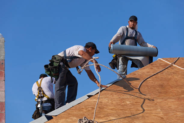 Best Metal Roofing Contractor  in Cashton, WI