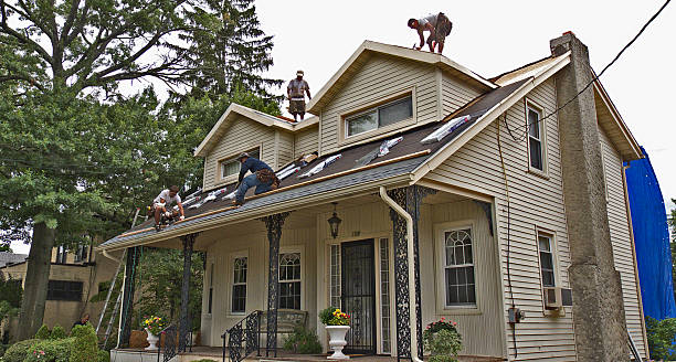 Best Shingle Roofing Installation  in Cashton, WI